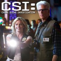 Место преступления: Лас-Вегас / CSI: Crime Scene Investigation 13 сезон онлайн