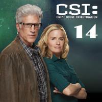 Место преступления: Лас-Вегас / CSI: Crime Scene Investigation 14 сезон онлайн